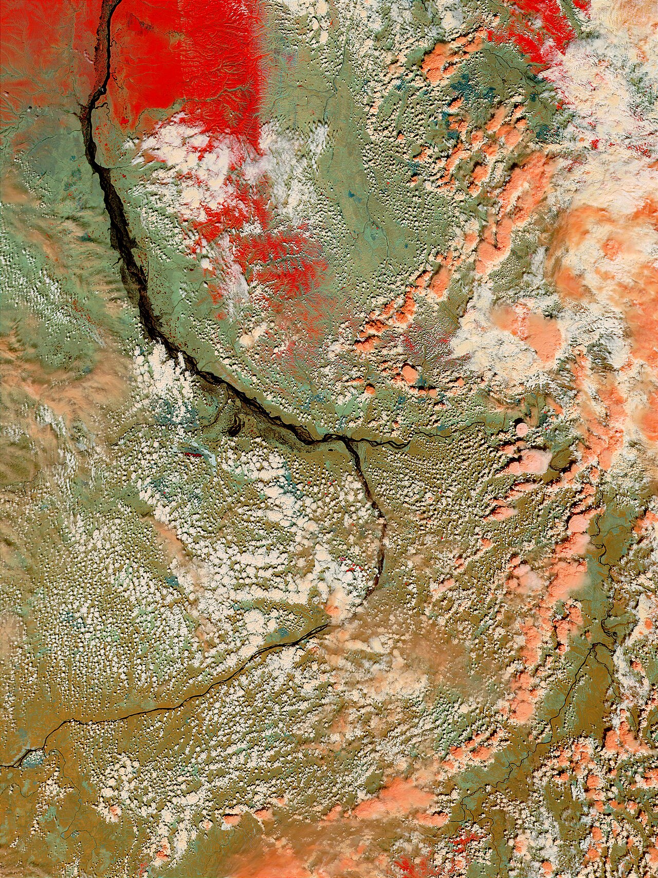 Lena River