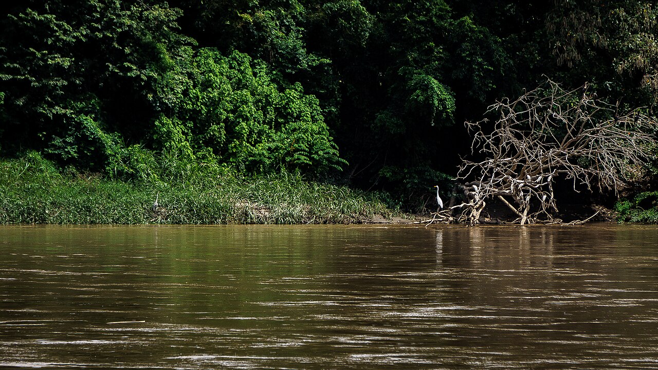 Magdalena River