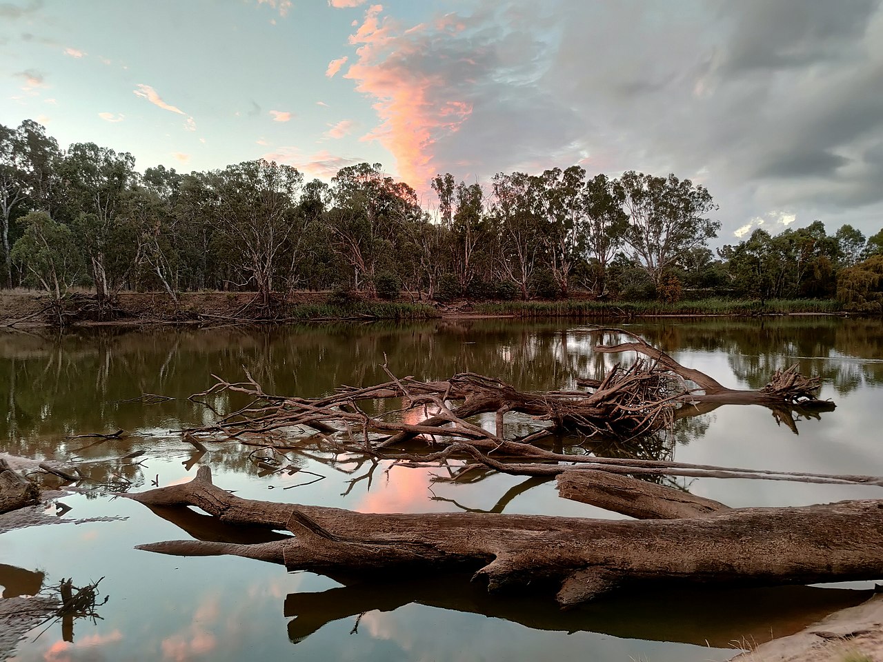 Murray River