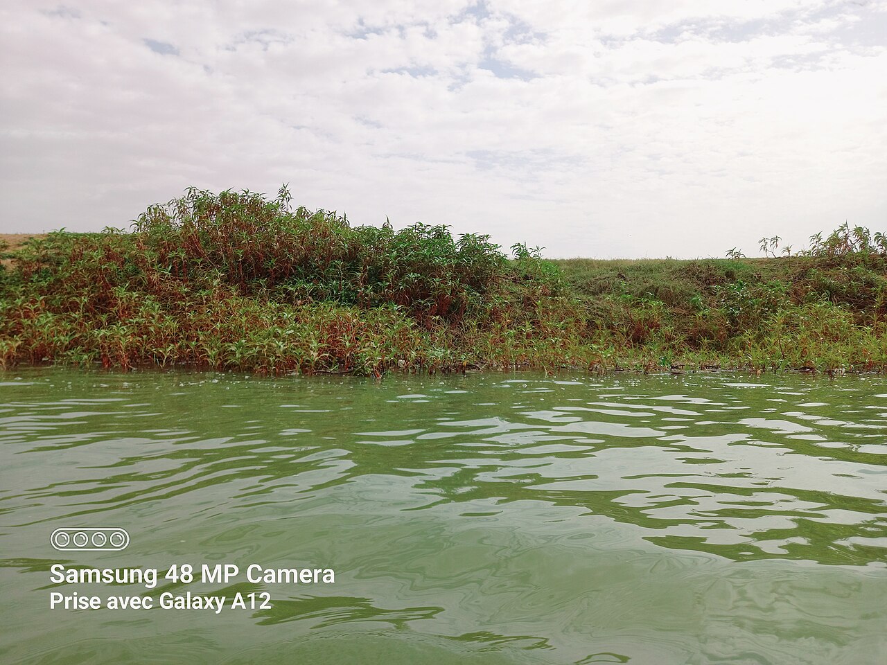 Niger River
