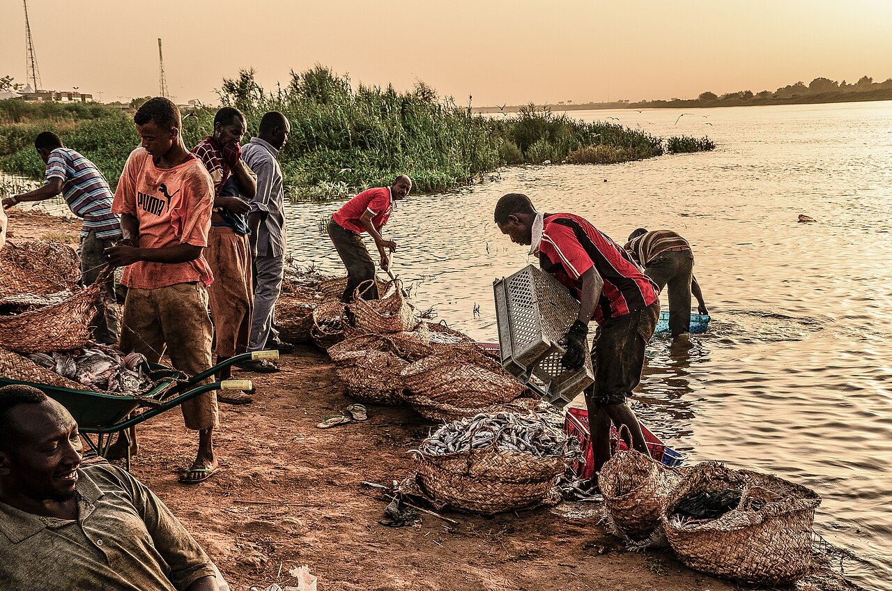 Nile